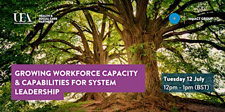 Growing Workforce Capacity & Capabilities for System Leadership primary image