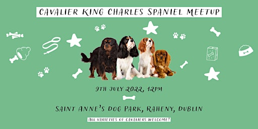 Cavalier King Charles Spaniel Meetup in Dublin