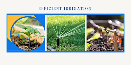 Efficient  Irrigation