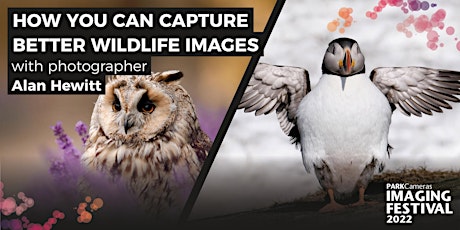 How you can capture better wildlife images with Alan Hewitt tickets
