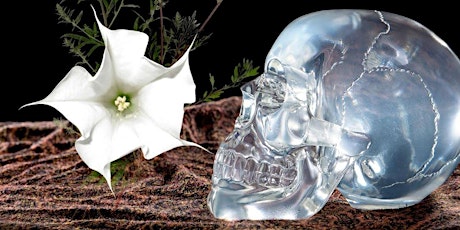 Death as an advisor, embrace the ally w/ plants of vision from soil to soul tickets