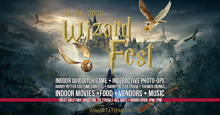 Wizard Fest Houston image