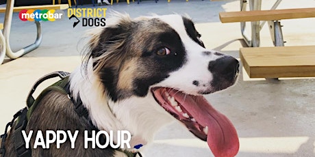 Yappy Hour with District Dogs! tickets