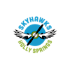 Holly Springs Skyhawks Radio Control Group's Logo