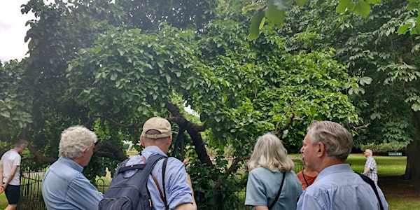Guided Walk | Greenwich's Marvellous Mulberries