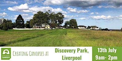Creating Canopies at Discovery Park in Liverpool