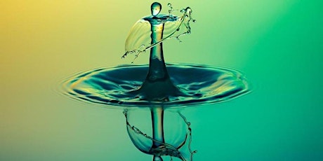 Efficacité des services de traitement de l’eau : approches globales, solutions locales primary image