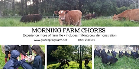 July School Holiday - Morning Chores Farm Tours - Grace Springs Farm primary image