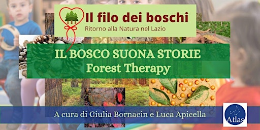 Forest Therapy con i bambini: "Il bosco suona storie"