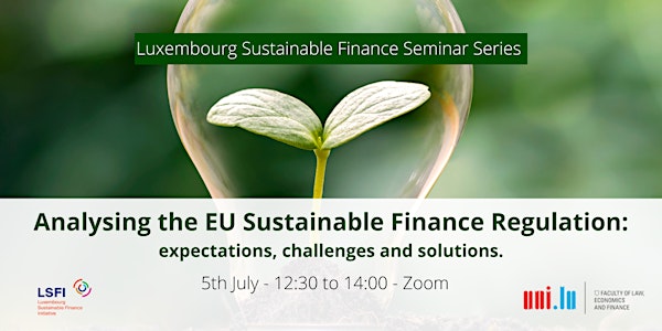 Analysing the EU Sustainable Finance Regulation