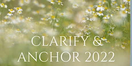 Clarify & Anchor. A mid year goal setting workshop. tickets