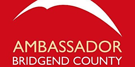Bridgend Ambassadors April Network Meeting primary image