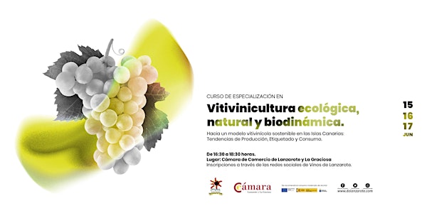 Curso de Vitivinicultura ecológica, natural y biod