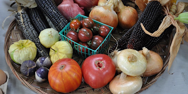 Vegetable Garden Troubleshooting Workshop May 12 & 13 9am-4:30pm