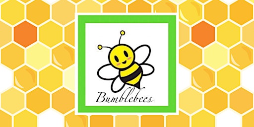 Bumblebees Play Session