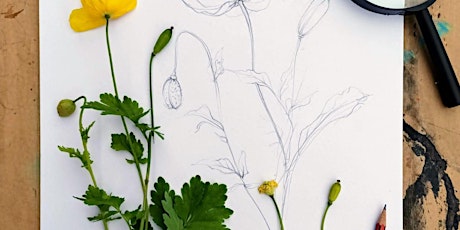 Sketching Plants and Flowers Workshop tickets