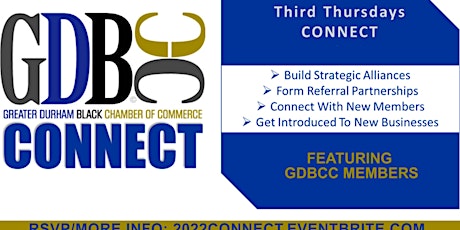 Connect: 3rd Thursdays | Virtual Networking Event primary image