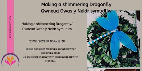 Shimmering Stocking Dragonflies - Gweision y Neidr yn Stocio Symudol tickets