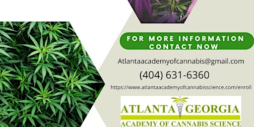 Comprehensive Medical Cannabis Training