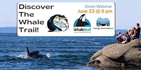 Discover The Whale Trail: Live webinar with founder Donna Sandstrom  primärbild