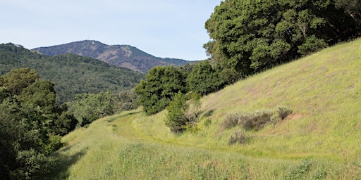 Weekday Hike at Rancho Cañada del Oro