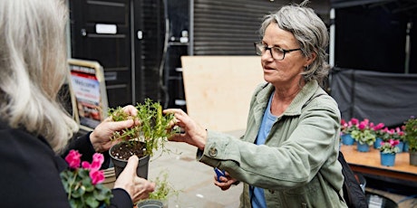 Edible Marsh - Gardening Workshop primary image