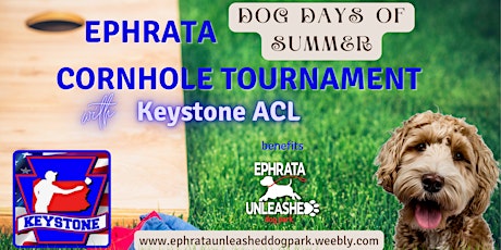 Dogs Days of Summer Cornhole Tournament primary image