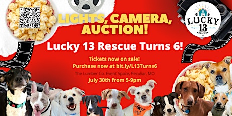 Lights, Camera, Auction! Lucky 13 Rescue Turns 6! tickets