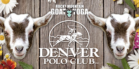 Goat Yoga - July 17th (DENVER POLO CLUB) tickets