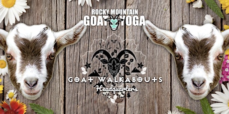 Goat Yoga - July 16th (GOAT WALKABOUTS HEADQUARTERS) tickets