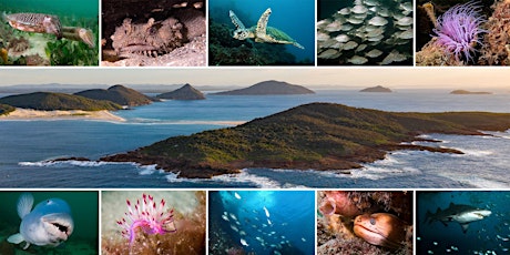 Short Ocean Films Night – Celebrating our local marine park, Port Stephens tickets