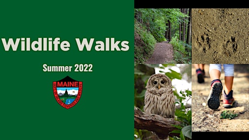 Collection image for Wildlife Walks with MDIFW