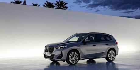 THE NEW BMW X1
