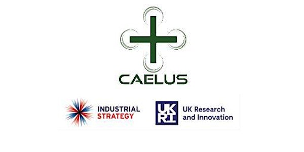 Future Flight project CAELUS: Stakeholders’ engagement key findings