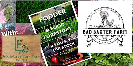 Fodder & Food Foresting (for you & your livestock)