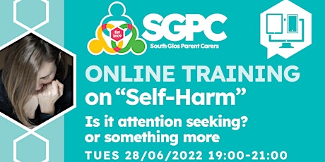 Self Harm - attention seeking or something more?  A Parent Carer Workshop.