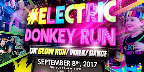 The Electric Donkey Glow Run/ Walk Winnipeg MB The Forks September 8, 2017 primary image