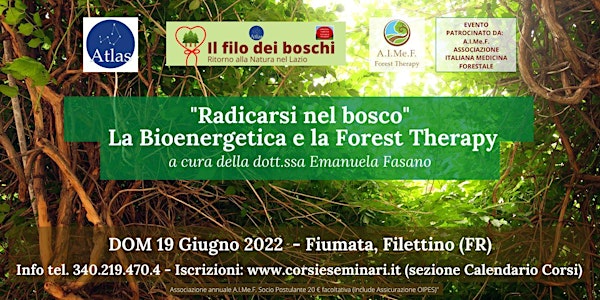 Forest Therapy e Bioenergetica - Radicarsi nel bosco