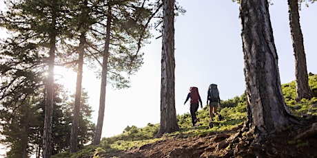 Primaire afbeelding van Bever Dutch Mountain Trail Hiker