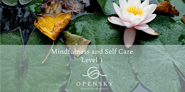 Mindfulness and Self Care Online Class - Level 1 - $75.00