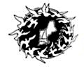Organizer profile image