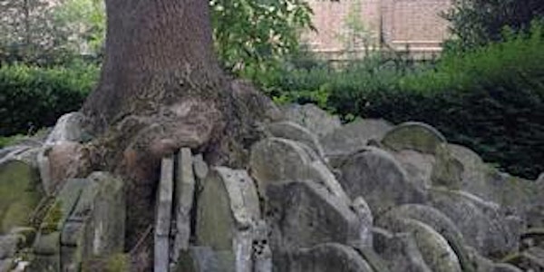 STALKING THE HARDY ASH