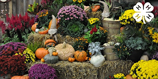 Fabulous Fall Display - 4-H Horticulture Club