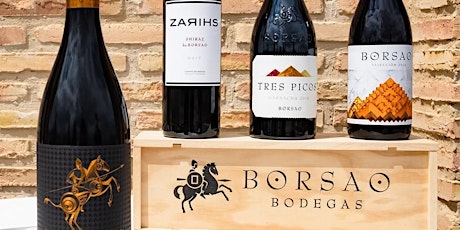 Winery Tasting-Bodegas Borsao