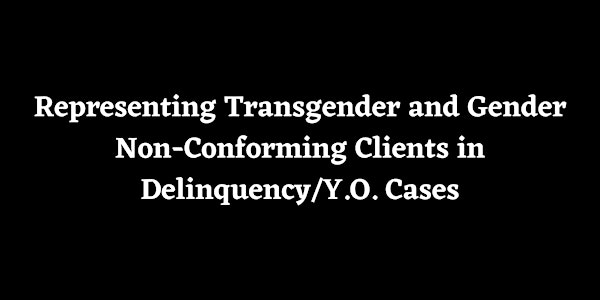 Representing Transgender  Clients in Delinquency & Youth Offender Cases