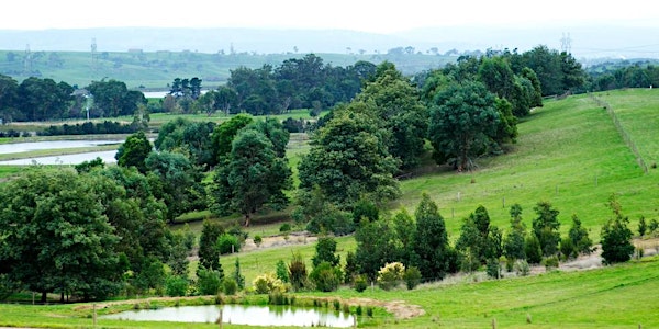 Information Session for New, Absentee & Small-acreage Landholders