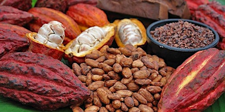 Reveal Your Inner Goddess Sacred Cacao Ceremony , Healing and Pampering- Adelaide primary image
