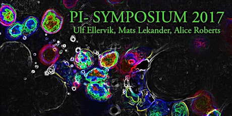 Pi-symposium 2017  primärbild