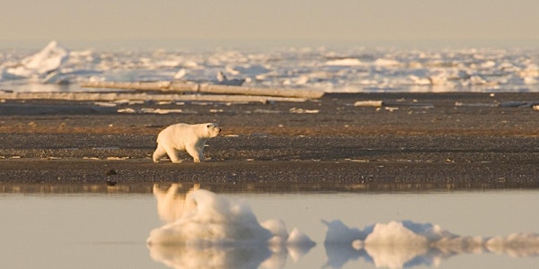Climate risks disclosure and socially responsible investment strategies