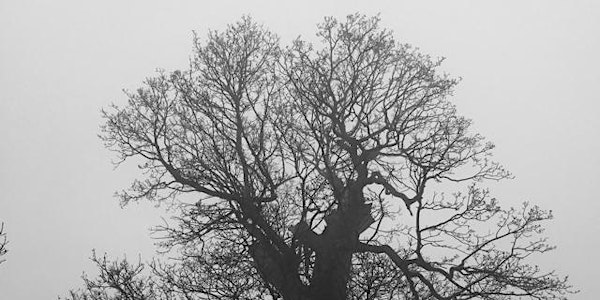 Stalking Trees: Beating the Bounds